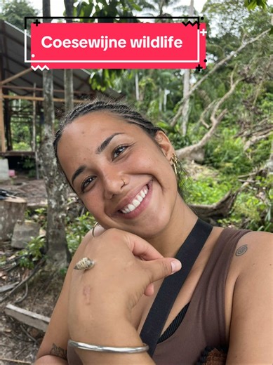 COESEWIJNE •💚• Jungle, wildlife en samen op pad als een mini-familie. 🐍🌿🦦 Vana noemde deze trip “magisch” en dat snappen we helemaal. Zou jij dit ook willen meemaken? 👀 . . . www.suforyou.nl #coesewijne #wildlife #familie #suriname #suforyou