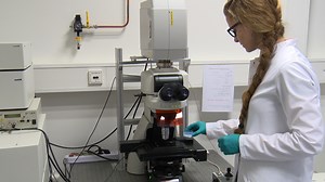 Inducible, Cell Type-Specific Expression in Arabidopsis thaliana Through LhGR-Mediated Trans-Activation