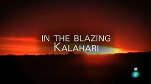 EN EL ABRASADOR KALAHARI El Kalahari es una de las zonas más áridas del mundo. La mayor parte de la inmensa cuenca es un desierto cubierto de arena con elevaciones de hasta 200 metros. Además de la rala vegetación y las dunas, el Kalahari tiene algo más que ofrecer. Puedes ver el documental completo en el siguiente enlace: http://www.rtve.es/alacarta/videos/grandes-documentales/grandes-documentales-abrasador-kalahari/4346082/ | Grandes Documentales