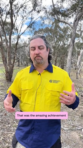 "Extinct in the wild" - what does it actually mean? 🤔 In this video, our Project Coordinator, Travis, explains the incredible journey of the Eastern Barred Bandicoot and what it really means when a species is classified as "extinct in the wild." Thanks to decades of dedicated conservation work, including breeding programs at @zoosvictoria and protected sanctuaries here at Woodlands Historic Park, we've achieved something remarkable: declassifying this species from "extinct in the wild” to “enda