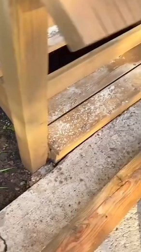 13K views · 278 reactions | #stitch with @cataleah #fyp #snakes #funny | Gavin Berry | Facebook