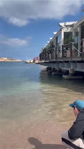 #plantas #plants #plantascarnívoras #lovinmalta #malta #sushi #europe #travel #upeace #food #music