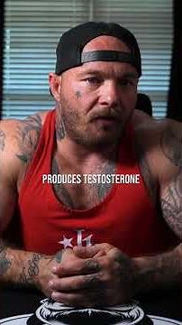 How Zinc and Boron Actually Work in Your Testosterone Pathway