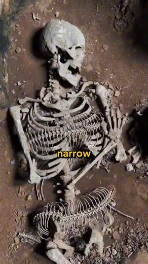 107K views · 1.8K reactions | In the early 1800s, an 8-foot skeleton was reportedly found beneath Saint Michael’s Mount—cut into solid bedrock beneath the chapel. Local legend speaks of Cormoran the Giant, slain by “Jack the Giant Killer”—a story now traced back over 5,000 years. Myth and history… are they closer than we think? See more from Hugh: https://www.youtube.com/@MegalithomaniaUK | Cosmic Summit | Facebook