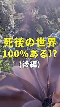 【木内鶴彦氏が体験した死後の世界 part2】 #shorts #雑学 #未解明 #都市伝説 #死後の世界 #臨死体験
