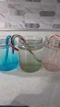 candy cane experiment dissolving 3 different flavors in room temperature water #science #candycanes