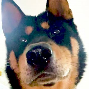 5.5K views · 171 reactions | Is power button the only way to lock your screen? What will happen to press power button too many times? What else can you do without the power button? #POCOLauncher | Xiaomi HyperOS | Facebook