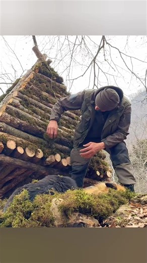 ❄️🐺 Winter Bushcraft Survival with Dogs | Building a Triangular Shelter in Deep Snow 🏕️🔥#SurvivorCrafting #CraftingSkills