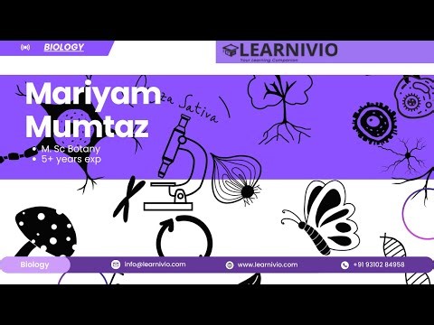 Learnivio | Chapter : Ecosystem | Ecological Pyramid | Lect | 2025-10-12