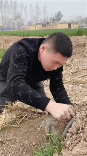 #cute #rabbit #vlogs #funnyshorts #shortvideo #shorts