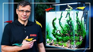 9.4K views · 209 reactions | ️Moss-covered Branches In The...