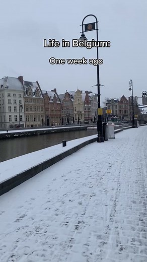 Exploring Life in Belgium Through the Seasons