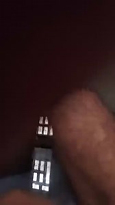 The given figure represent a stage of embryonic development. Id... | Filo