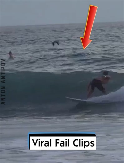 14K views · 294 reactions | Viral Fail Clips | Anton Antipov | Facebook