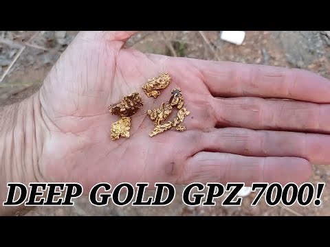 Deep Gold with Minelab GPZ 7000 First Nugget, No Threshold Run