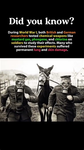 The Dark Experiments Behind WWI Chemical Weapons