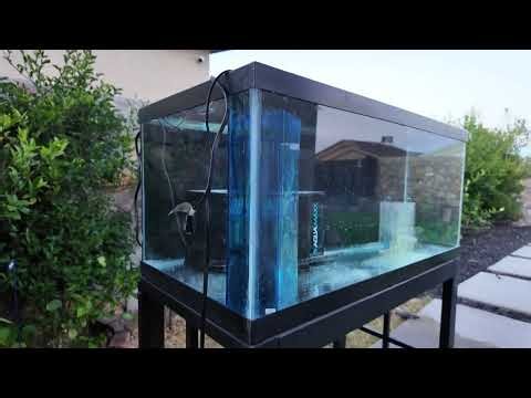 A NEW 40 GALLON AQUAriuM SETUP FROM START TO FINISH SALTWATER REEFING EDITION