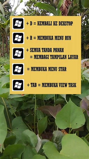 Shortcut tombol windows ✅ #tutorial #microsoft #tipsword #tipsexcel #belajarkomputer #computertutorial #onlinecourses #techtutorials #itcourses | Hari Yantosbh