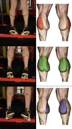 How to Build HUGE Calves: The Foot Position Secret