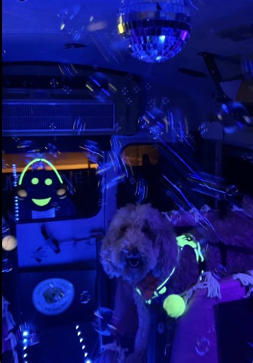 Bubbles, zoomies, and rave beats 🐾🎶 | dog bus