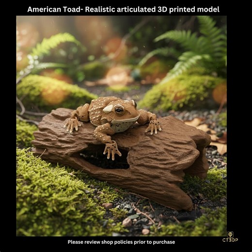 The 3D Printed American Toad- in full colour