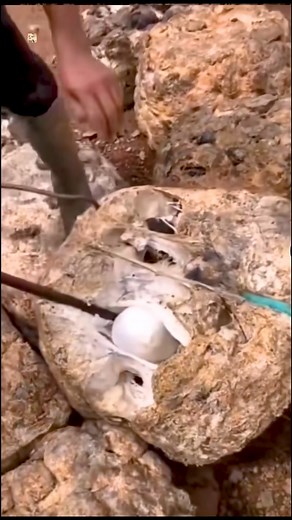 1.7M views · 8.1K reactions | Weird Video Footage樂樂 #weird #strange #caughtoncamera #whatisit #fyp. | Frank K | Facebook