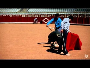 Matador training