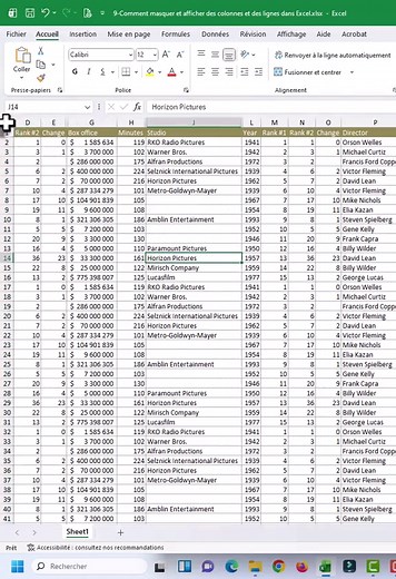 Comment masquer et afficher des colonnes et des lignes dans Excel #excel #trucsexcel #astucesexcel