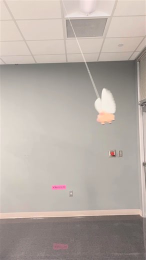 Sherman High on Instagram: "AP Physics 1 students explored circular motion with the “When Pigs Fly” lab! 🐖🔄 They sent flying pigs around in circles, timed their spins, measured the string and radius, and calculated how fast the pigs should move vs. how fast they actually did. A fun hands-on way to see physics in action!"