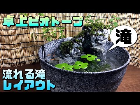 I made a waterfall in my killifish biotope and created a stylish layout [Beginner's DIY Challenge]
