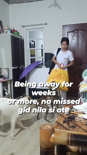 61 reactions · 4 comments | #Doglovers #Petlovers #highlightseveryonefollowers2025 | Leica Ricafort-Inaudito | Facebook