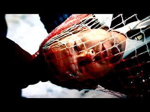 Allstate Douglas Fir Christmas Tree Commercial