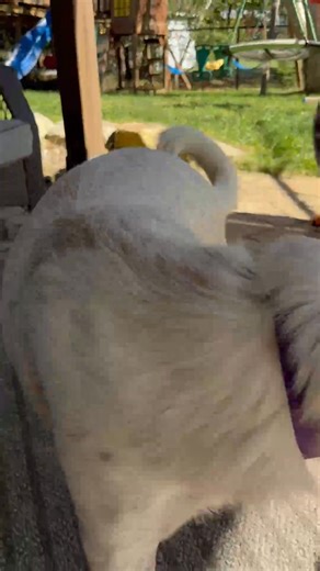 Kelly Smith on Reels | Facebook