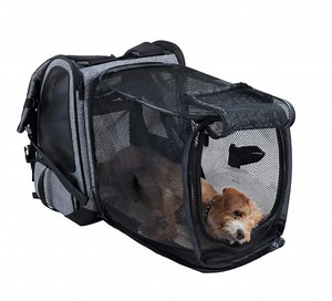 [Hot Item] New Hot Design Expendable Pet Cat Carry Backpack Bag