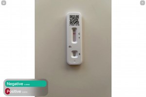 LFT Neural Network Results Detection