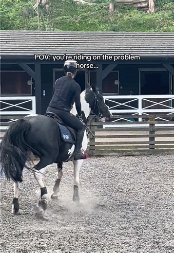 Understanding Common Challenges in Horse Riding