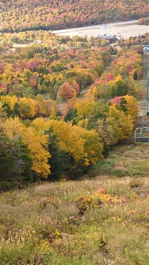 Coming down from Wildcat Mountain, NH, 9 27 25 #thenaturenomad #foliage #wildcatmountain #pinkhamnotch #changingseasons #newengland | The Nature Nomad