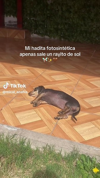 Videos de mimi (@mical_anahis) con “sonido original - Carolina Flores”