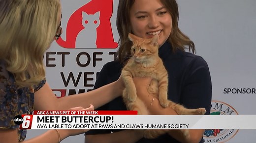 Pet of the Week: Buttercup and Kate