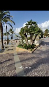 Walking along the beachfront promenade in El Arenal, right at the beginning of the Playa de Palma, feels like entering one of the most vibrant stretches of coastline on the island. The sea is always beside you, rolling in with that calm Mediterranean rhythm, while cafés, bars and small shops add their colourful soundtrack to the day. The palm trees line the paseo like a green gateway toward the long, sweeping beach that connects Arenal with Can Pastilla. Families stroll with ice creams in hand, 