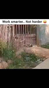 Work smart.... | Future Science