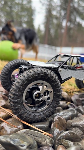 RiverWoodsRC on Instagram: "Chill Saturday line 🌲 #rccrawler #scx24"
