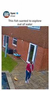 80K views · 74 reactions | Lady puts the fish back into the pool | Iyaz | Facebook