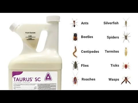 How to Apply Taurus SC Termiticide. Prevent and Kill Termites & Many More!
