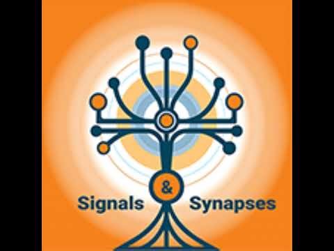 MRI (Almost) Without Magnets: Ultra-Low Field Imaging