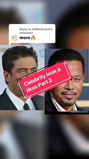 Celebrity Lookalikes: Terrence Howard and Jessica Alba