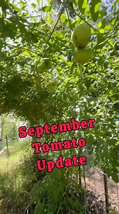 27K views · 607 reactions | This is the first year that Nature had...