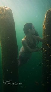A mermaid with pointed ears lingers underwater around old wooden posts 🖤 This video was filmed in Lake Huron last week. It was quite a chilly swim, as the area we filmed at had lots of deep water nearby that kept reaching up to send shivers down my spine. Normally, I last pretty long in the water. But that night I was feeling like a big ol' baby. 😅🖤 FUN FACT! I wore these Aradani Studios - Elf Ears and Costumes elf ears four days in a row ALL DAY (because we were filming the same character ea