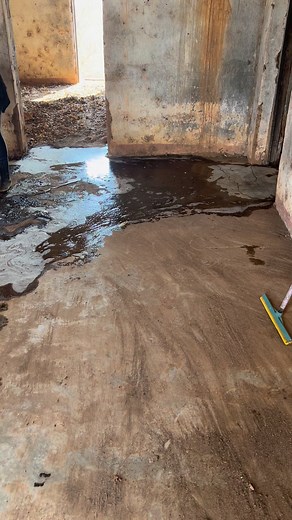 29K views · 305 reactions | Lavando casa | Raquel Rodriguês | Facebook