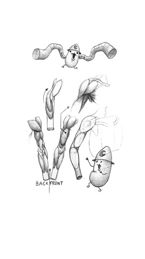 JADOKAR on Instagram: "How To Draw Arms 💪 Look, we’ve all been there, drawing arms that look like wet noodles. 🍜 It’s time to stop the madness. Pause the video for a sec, actually look at where the muscles go, and then go find some references (literally just look at your own arm or google references). Practice it until you can draw a gigachad hand that would make a marble statue jealous. 🗿✍️ Get to it! • • • • #art #drawing #foryou"